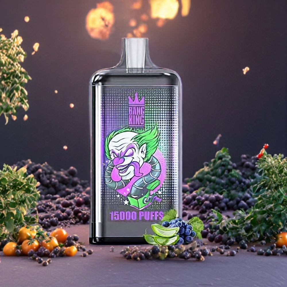 Aloe Raisin Bang King 15000 Puffs 21ml Belgique Grossiste Design Coloré