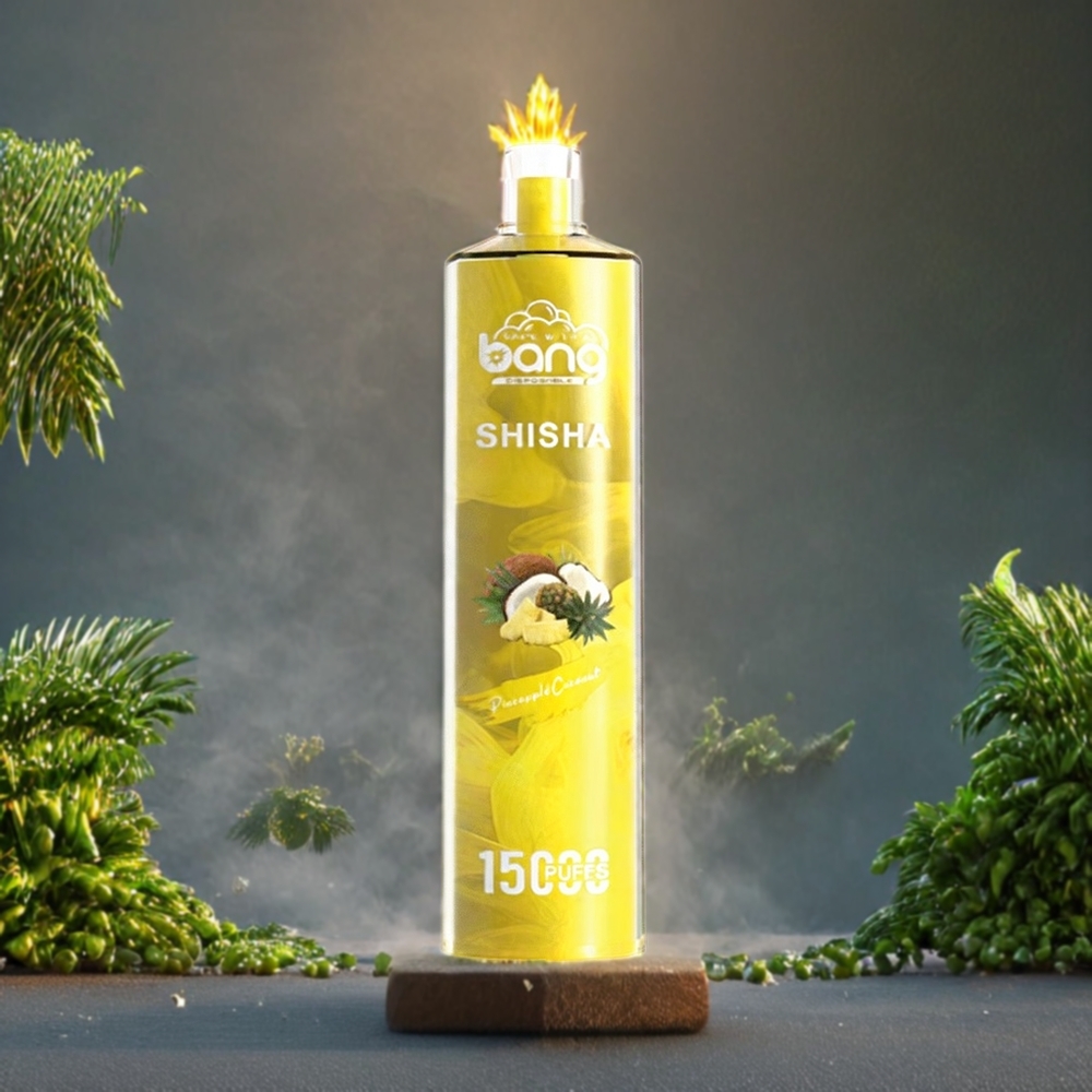 Ananas Noix de Coco Bang Shisha 15000 Puffs 23ml Belgique Grossiste Type-C Rechargeable