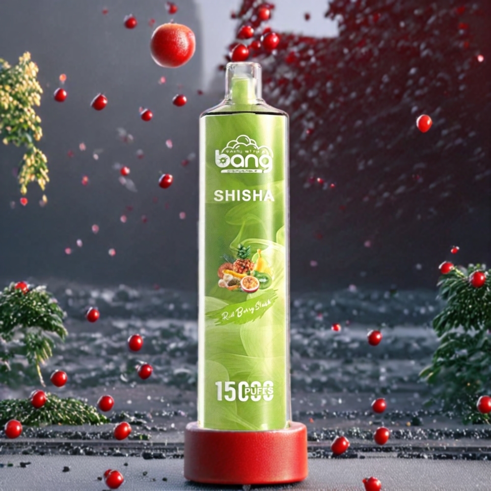 Baie Rouge Slush Bang Shisha 15000 Puffs 23ml Belgique Grossiste DTL Technologie