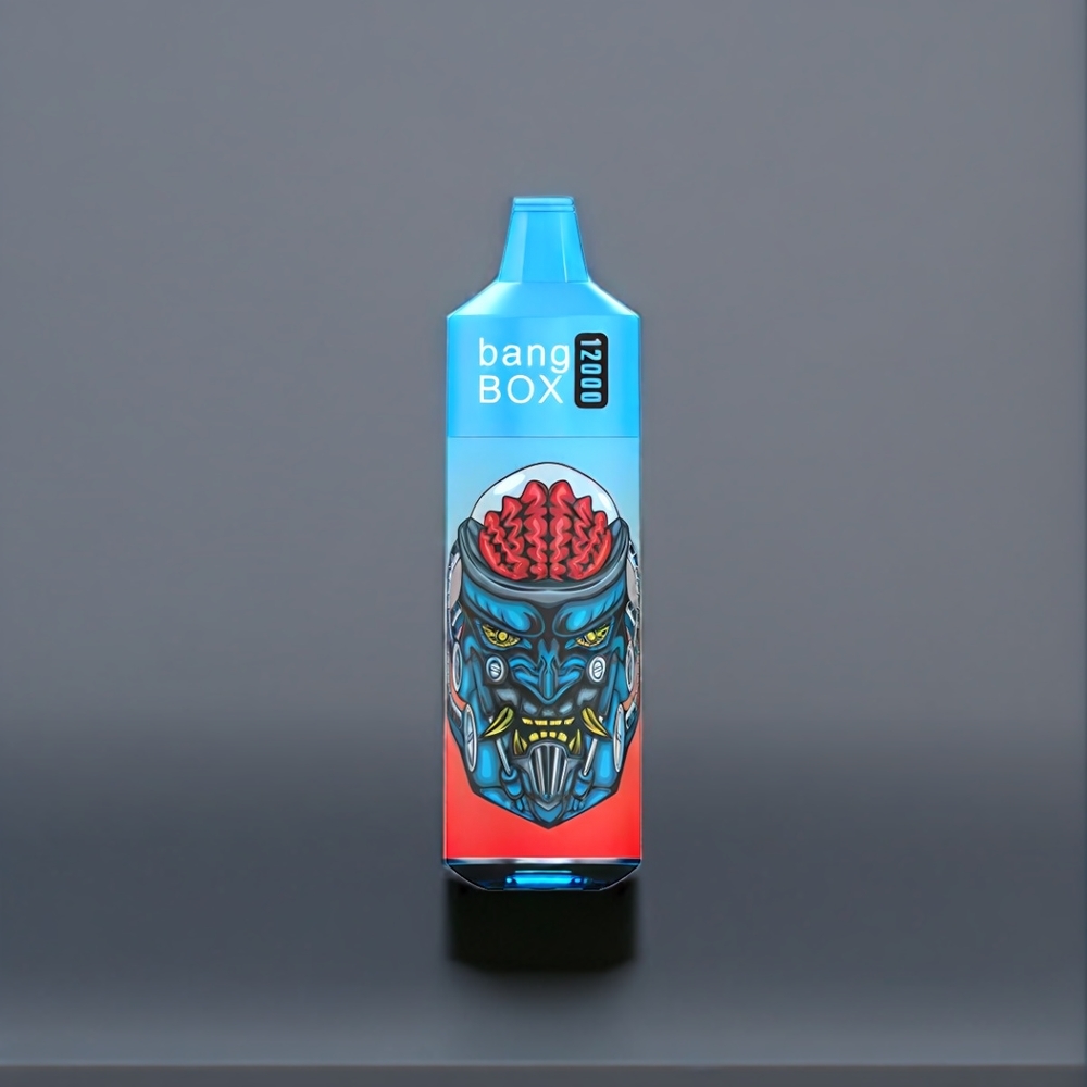 Bang Box 12000 Puffs Belgique Grossiste 23ML 5 Fraise Kiwi