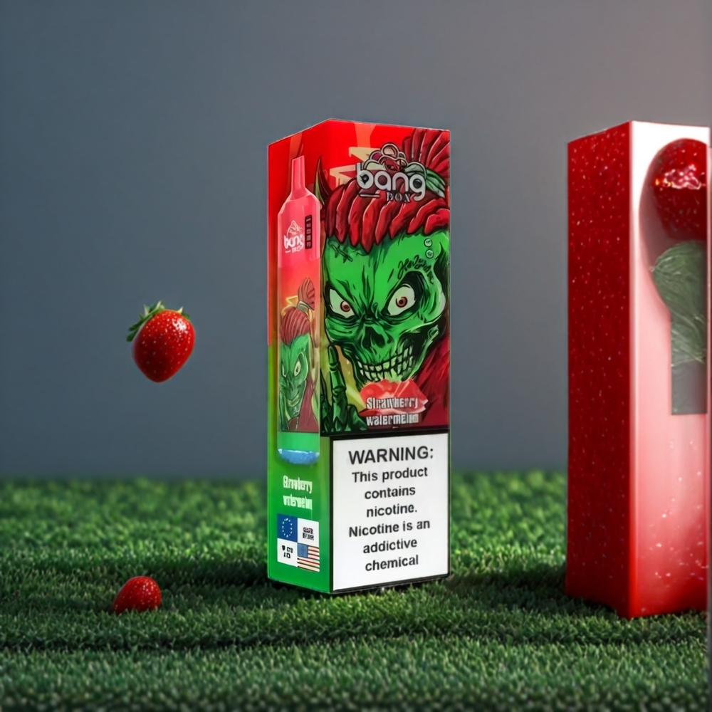 Bang Box 12000 Puffs Belgique Grossiste Fraise Pastèque USB TYPE-C 5V 1A