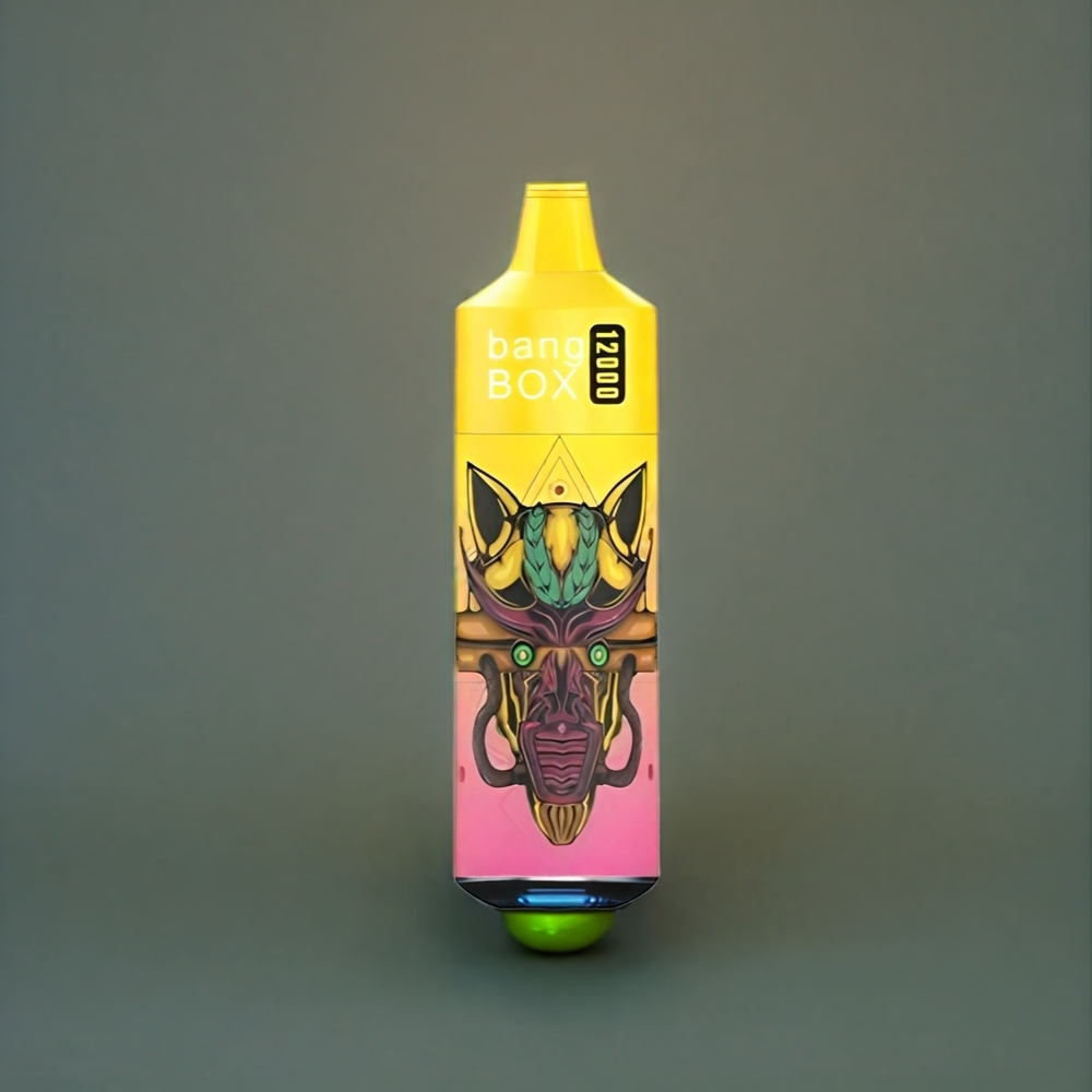 Bang Box 12000 Puffs Belgique Grossiste Type-C 650mAh Pêche Mangue Pastèque