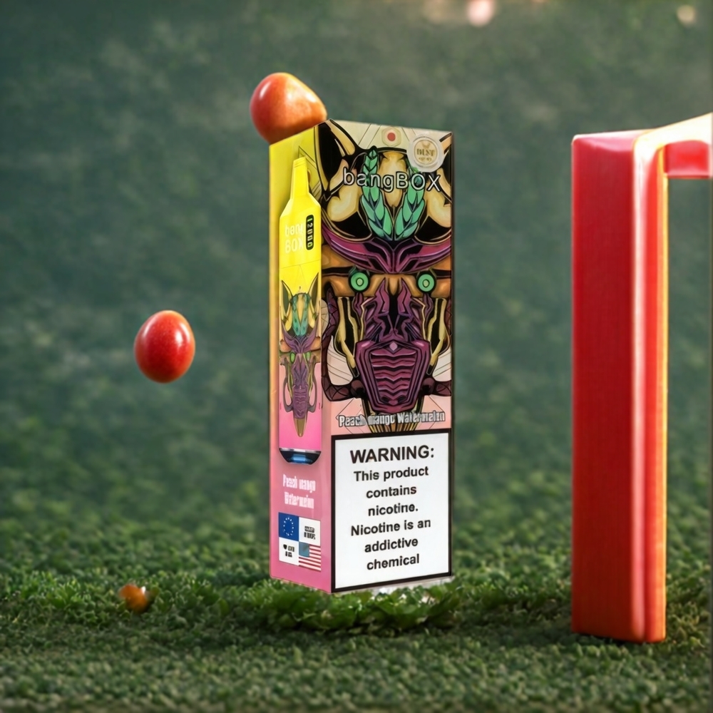 Bang Box 12000 Puffs Belgique Grossiste Type-C 650mAh Pêche Mangue Pastèque
