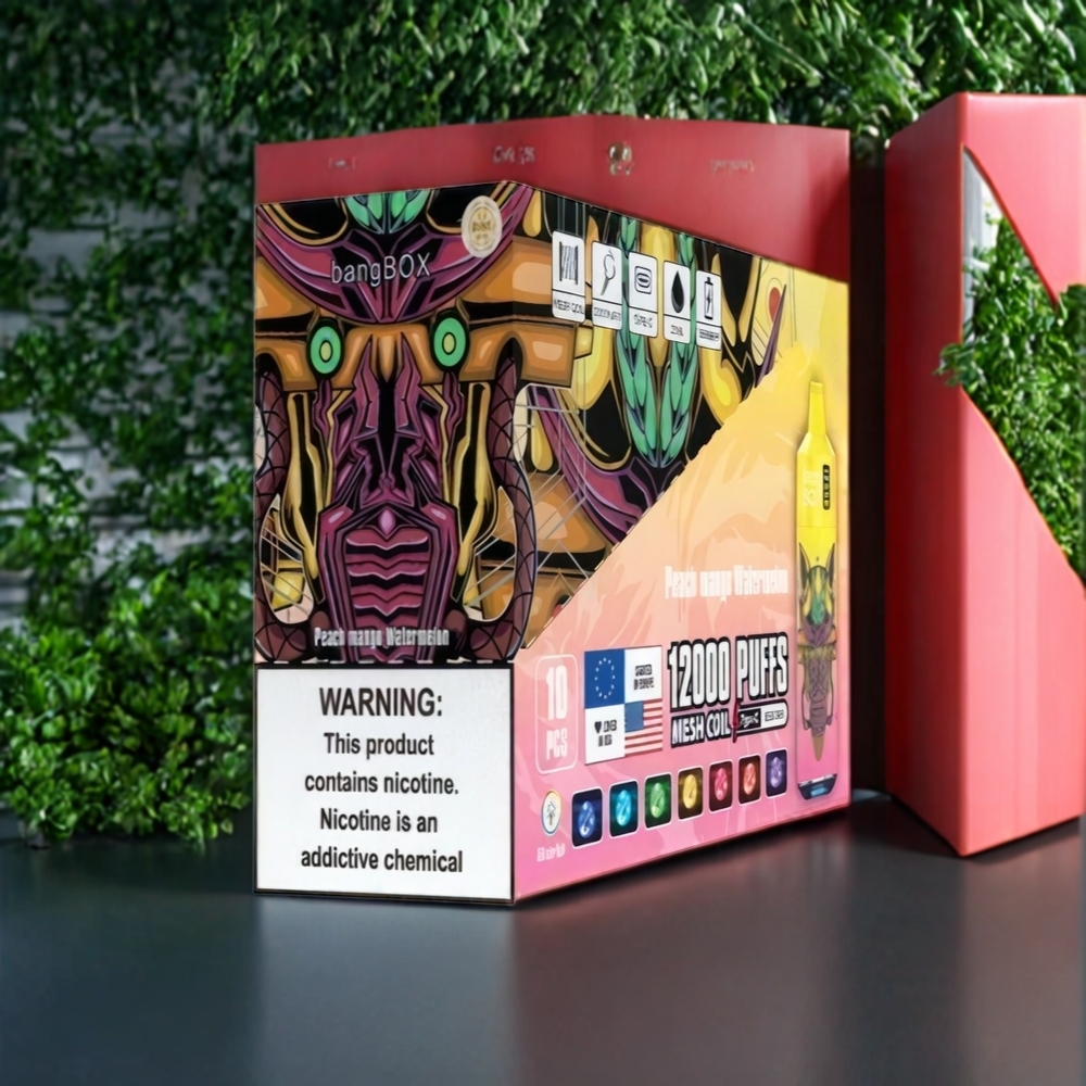 Bang Box 12000 Puffs Belgique Grossiste Type-C 650mAh Pêche Mangue Pastèque