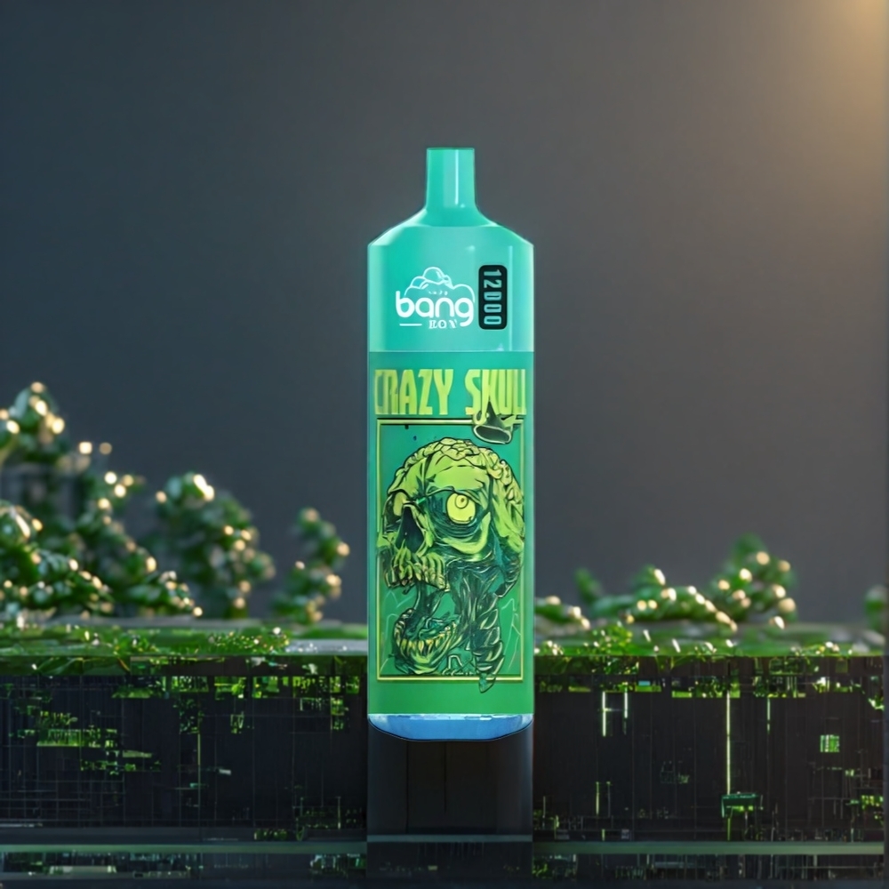 Bang Box 12000 Puffs Vape Menthe Fraîche 23ML 650mAh Belgique Grossiste
