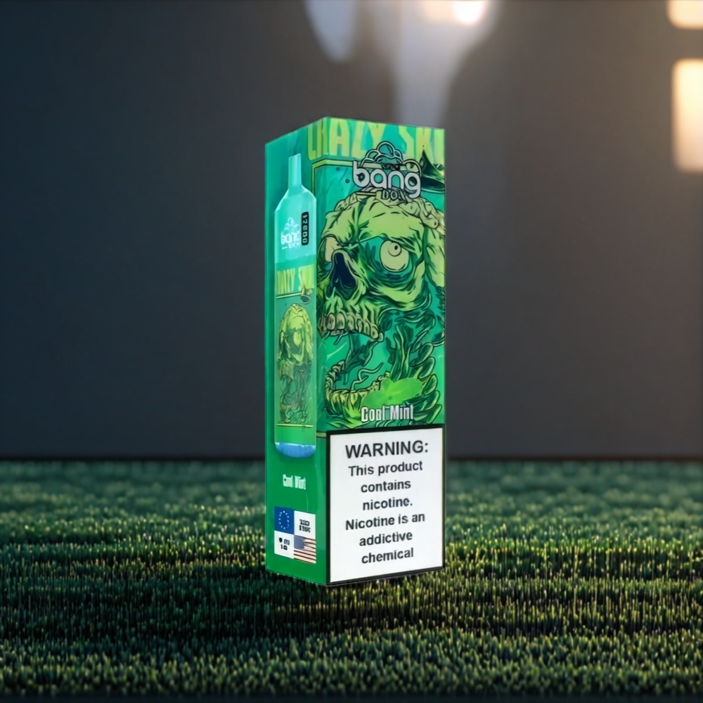 Bang Box 12000 Puffs Vape Menthe Fraîche 23ML 650mAh Belgique Grossiste