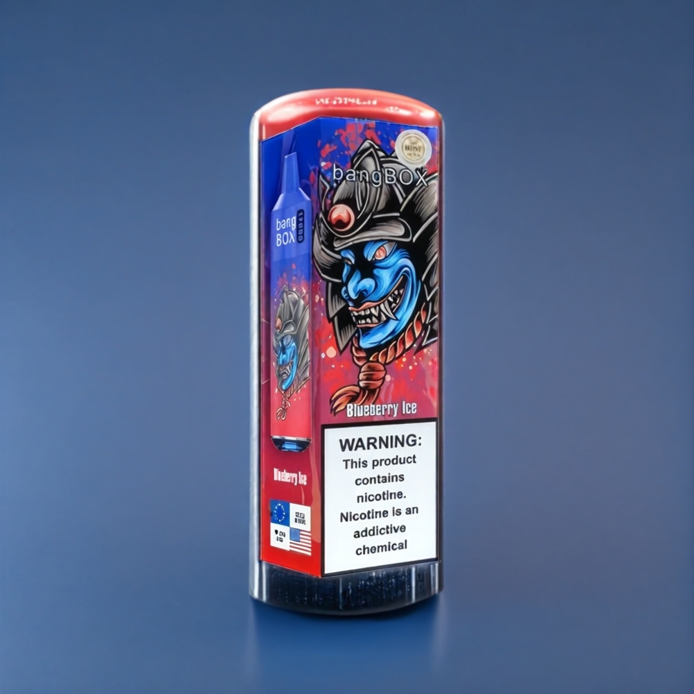 Bang Box 12000 Puffs Vape Myrtille Glacée Belgique Grossiste 23ML 5