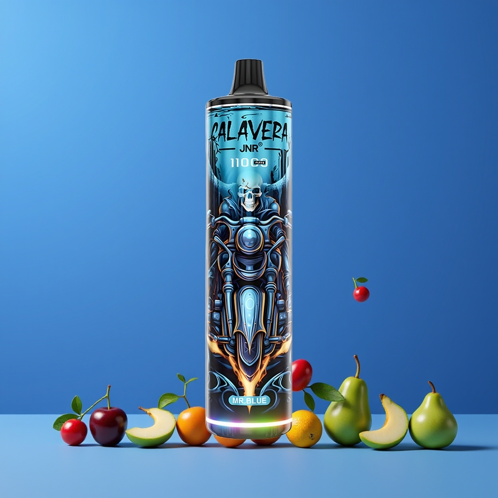 Bleu JNR Calavera 11000 Puffs 21ml Belgique Grossiste Type-C 850mAh