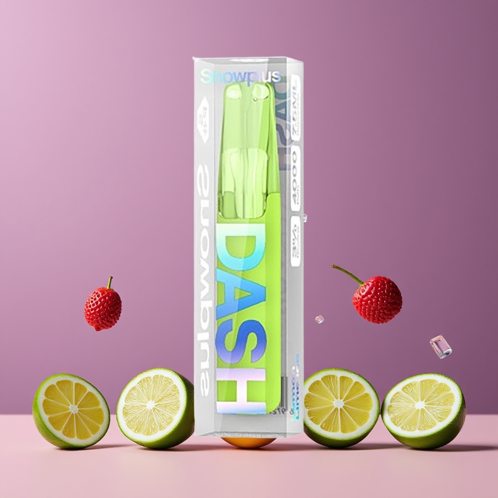 Citron Lime Glace Snowplus Dash 4000 Puffs Belgique Grossiste 75 ml 5