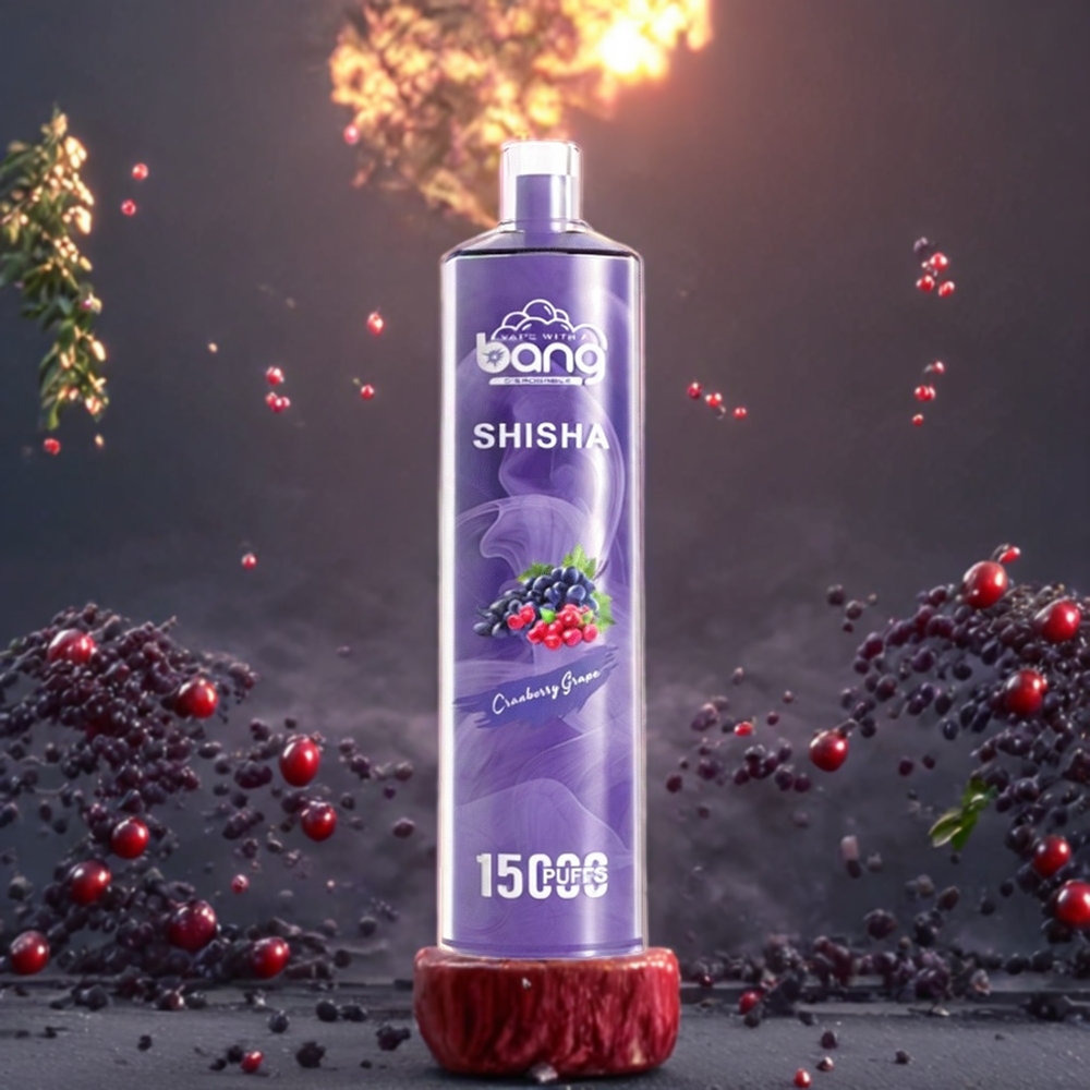 Cranberry Raisin Bang Shisha 15000 Puffs 23ml Belgique Grossiste DTL Technologie