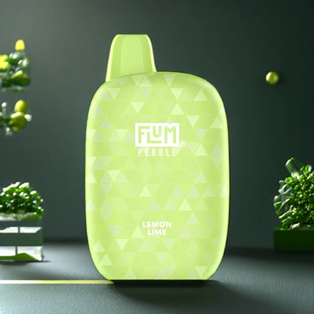 Flum Pebble 6000 Puffs Belgique Grossiste 10ml 5 Citron Vert Type-C