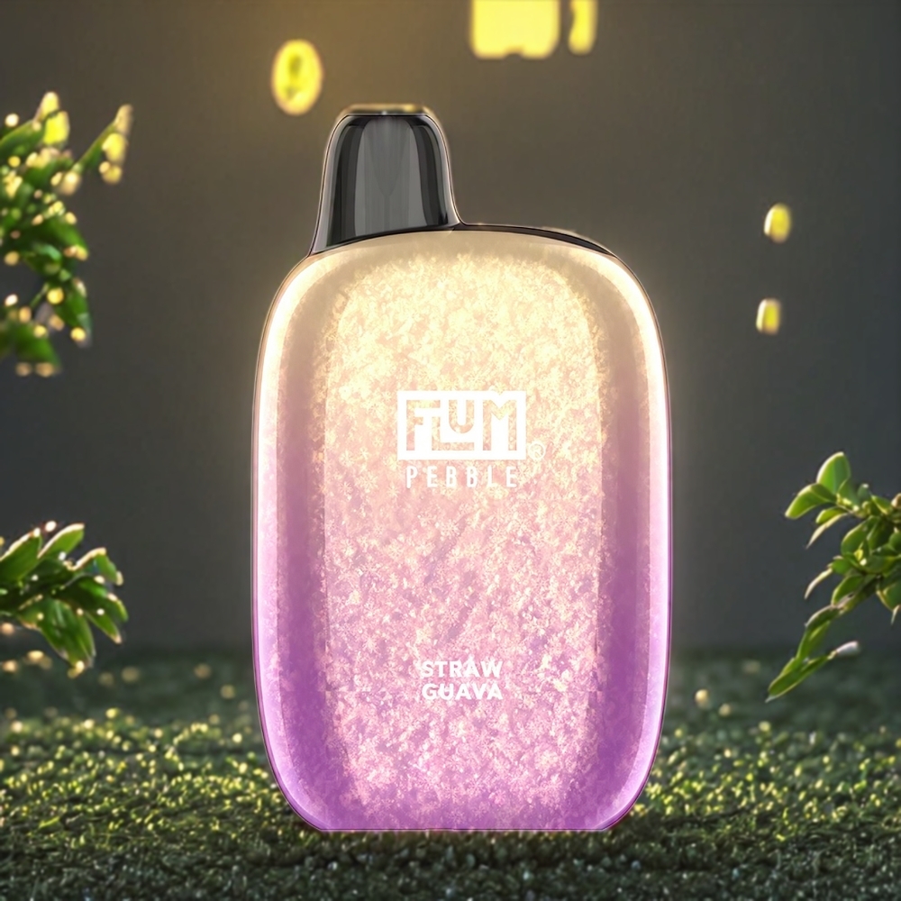 Flum Pebble 6000 Puffs Belgique Grossiste 10ml 5 Type-C Guave Mesh Coil