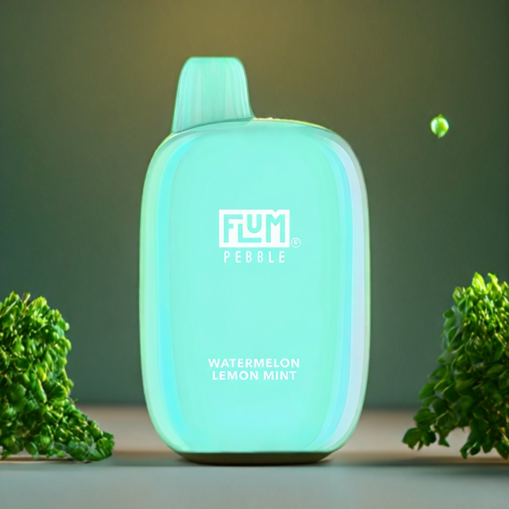 Flum Pebble Belgique Grossiste 6000 Puffs 10ml Pastèque Citron Menthe Vape