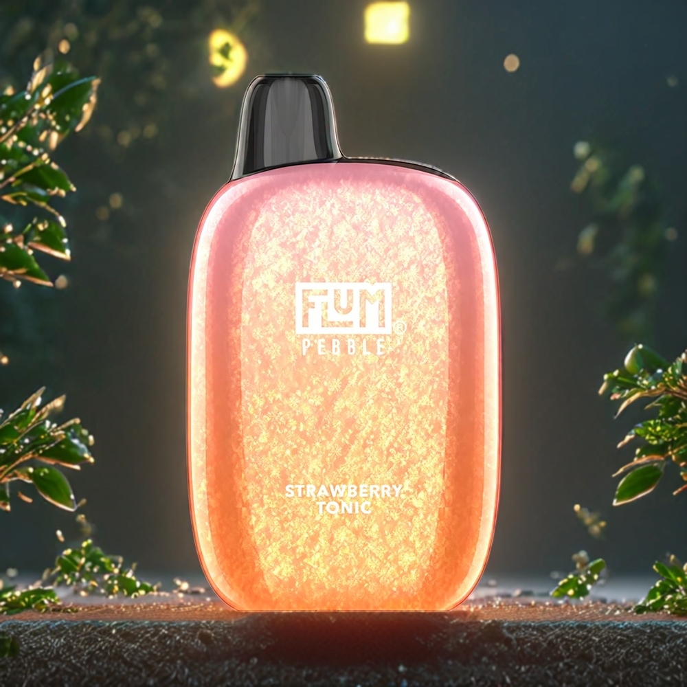 Flum Pebble Belgique Grossiste 6000 Puffs 10ml Tonicité Fraise Rechargeable Type-C