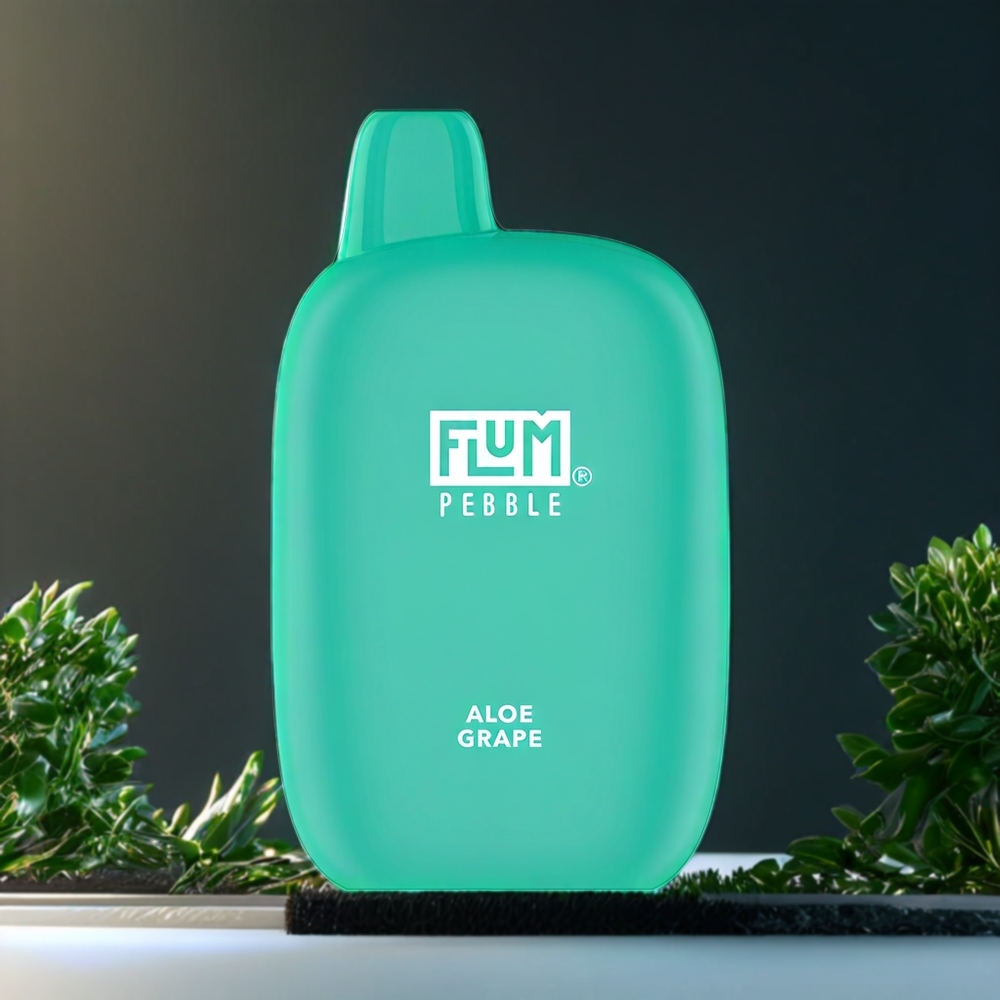 Flum Pebble Belgique Grossiste 6000 Puffs 10ml Vape Aloe Raisin Type-C Charge