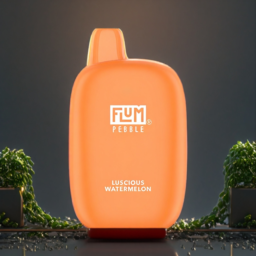 Flum Pebble Belgique Grossiste 6000 Puffs 5 Nicotine Vape Pastèque Savoureuse