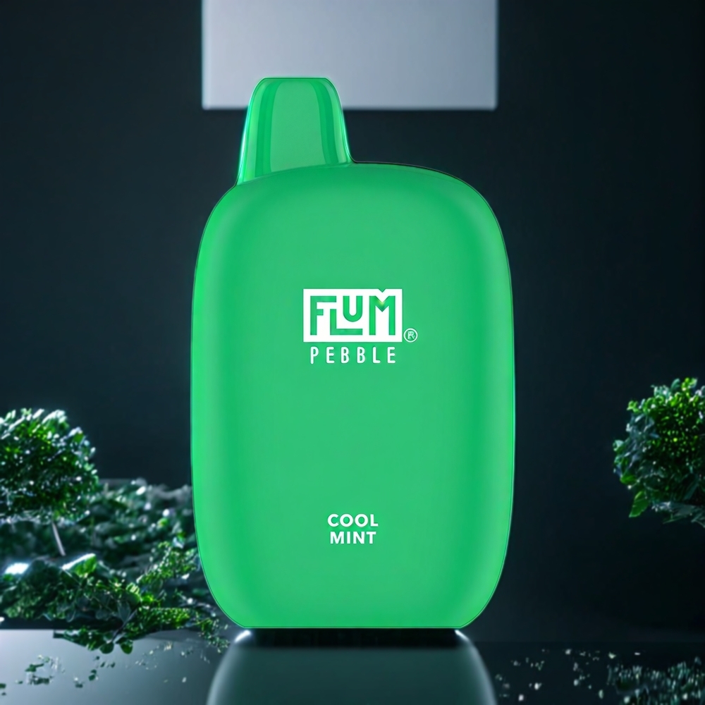 Flum Pebble Belgique Grossiste 6000 Puffs 500mAh Menthe Fraîche