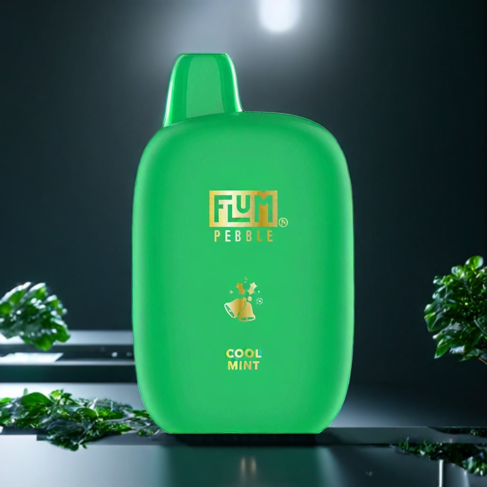 Flum Pebble Belgique Grossiste 6000 Puffs 500mAh Menthe Fraîche