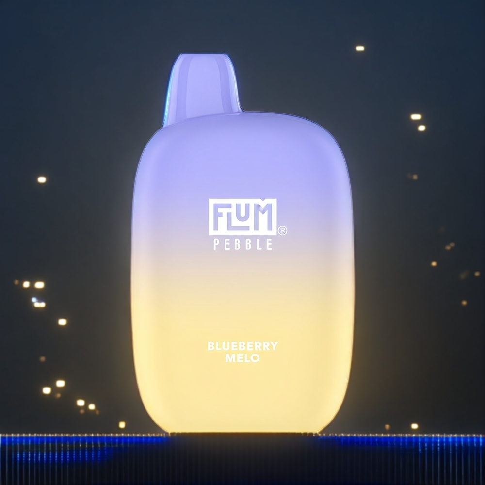 Flum Pebble Belgique Grossiste 6000 Puffs 500mAh Vape Myrtille Melo Rechargeable Type-C