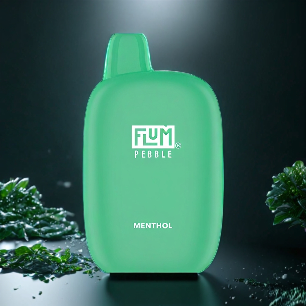 Flum Pebble Belgique Grossiste 6000 Puffs Menthe 10ml Rechargeable Type-C