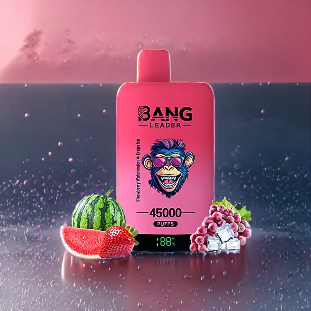 Fraise Pastèque Raisin Glacé Bang Leader 45000 Puffs Belgique Grossiste Écran Intelligent Port USB Type-C