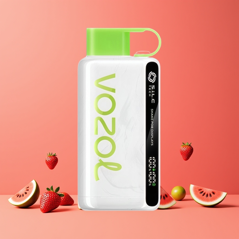 Fraise Pastèque VOZOL STAR 9000/12000 Puffs Recyclé Belgique Grossiste Charge Rapide