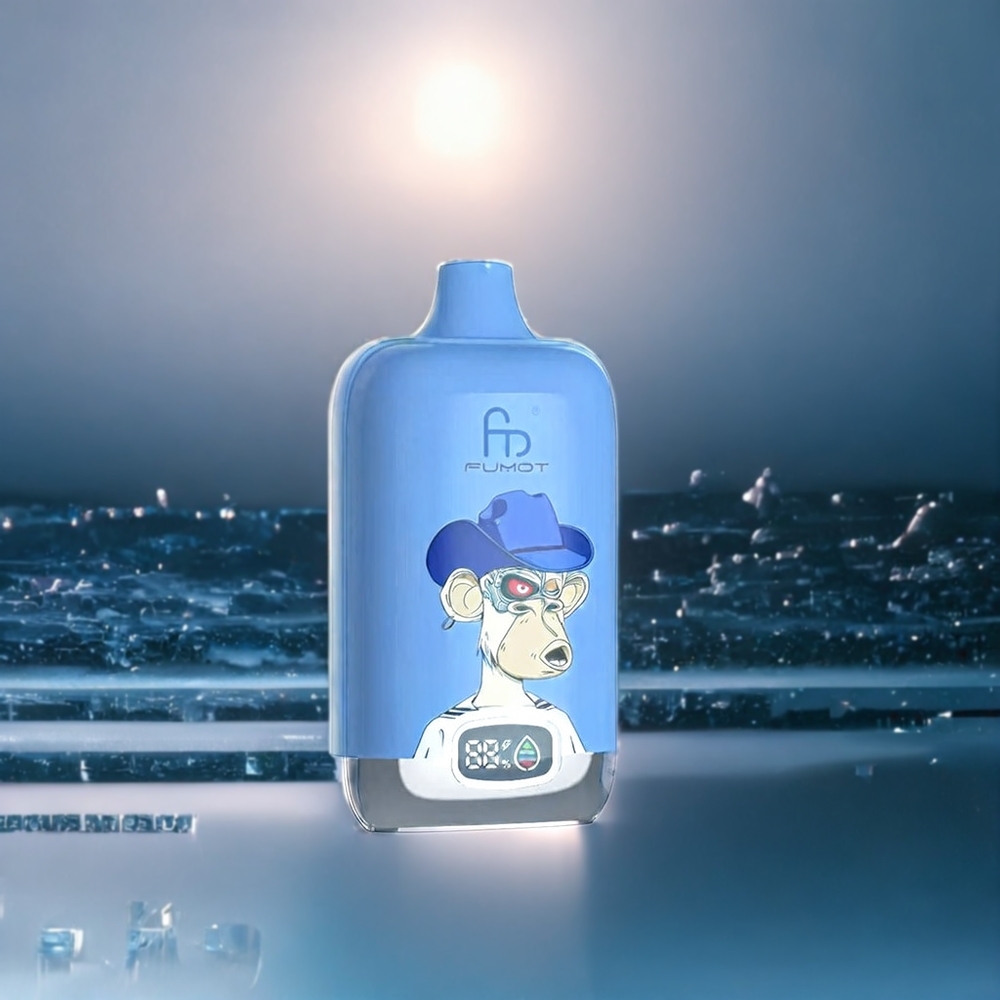 Fumot Tornado Belgique Grossiste Boîte Numérique 12000 Puffs 67g Type-C Myrtille Sur Glace
