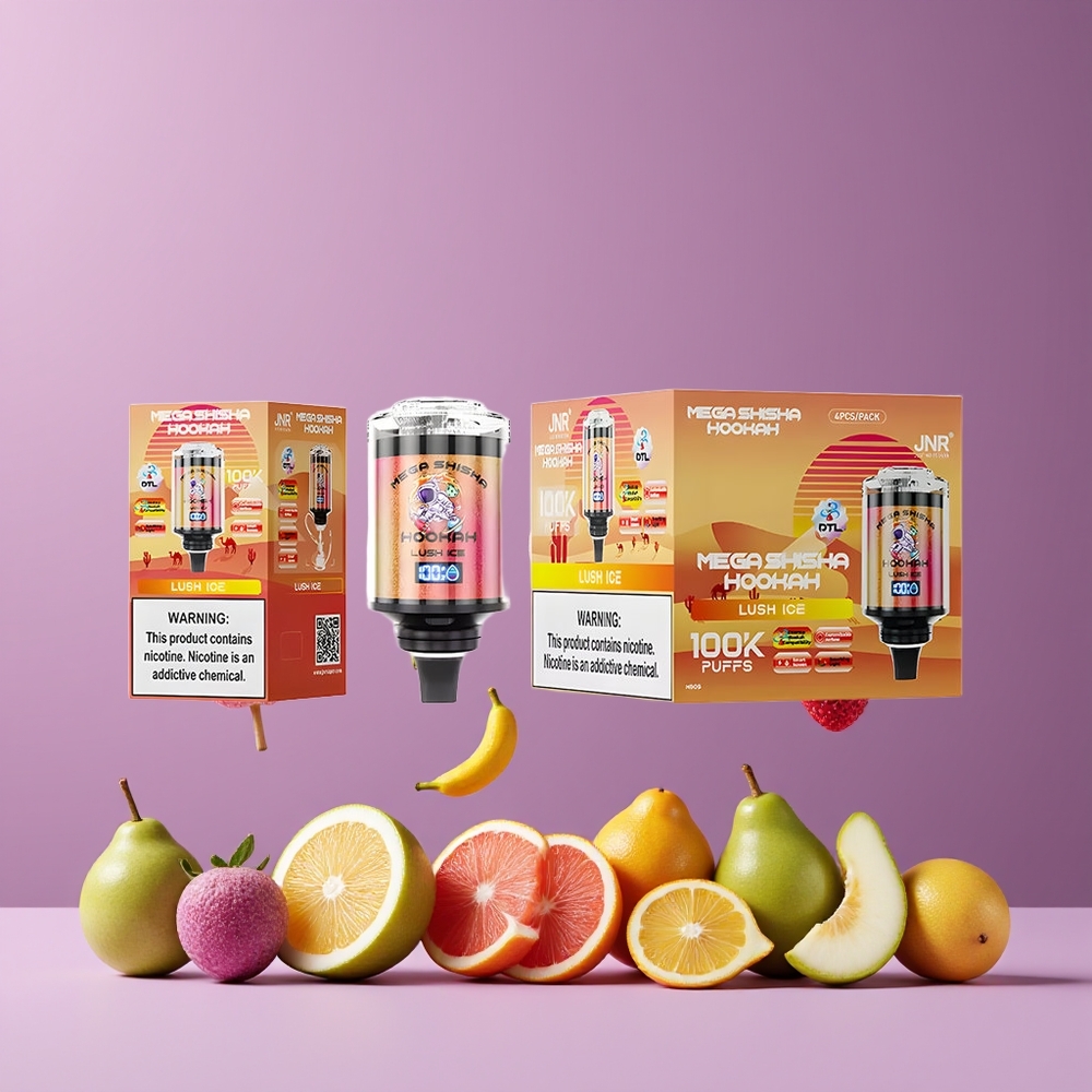 Glace Juteuse JNR Mega Shisha Hookah 100K 100000 bouffées Belgique Grossiste Type-C recharge rapide