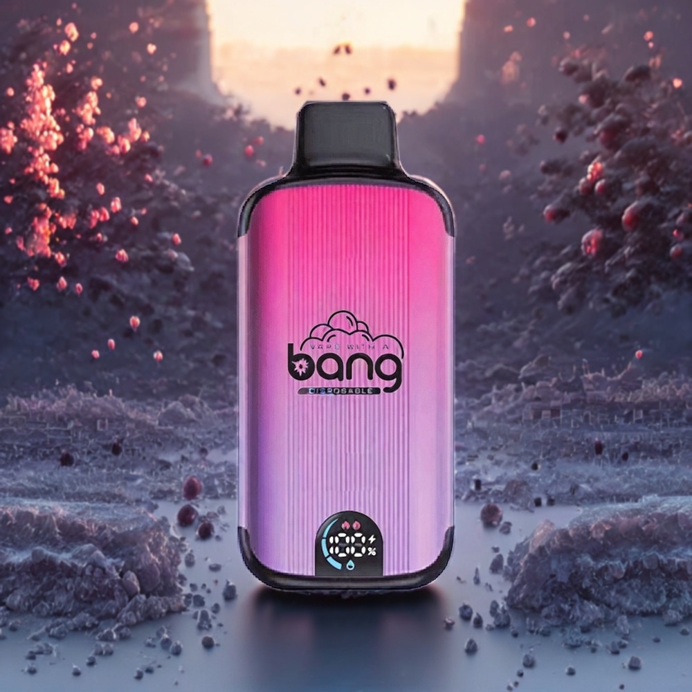 Glace Raisin Bang 20000 Puffs Belgique Grossiste 13400 Battery 5 Nicotine