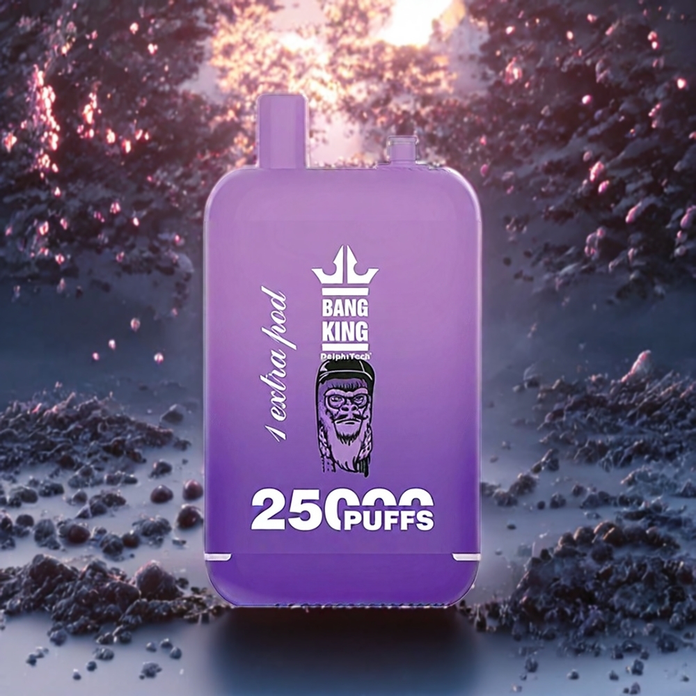 Glace Raisin Bang King 25000 Puffs 46ml Belgique Grossiste Dual Pod System