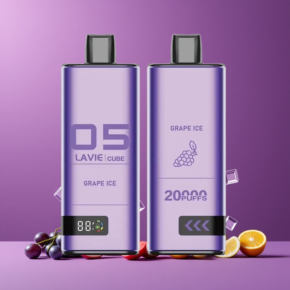 Glace Raisin Lavie Cube 20000 Puffs Belgique Grossiste 28ML Type C