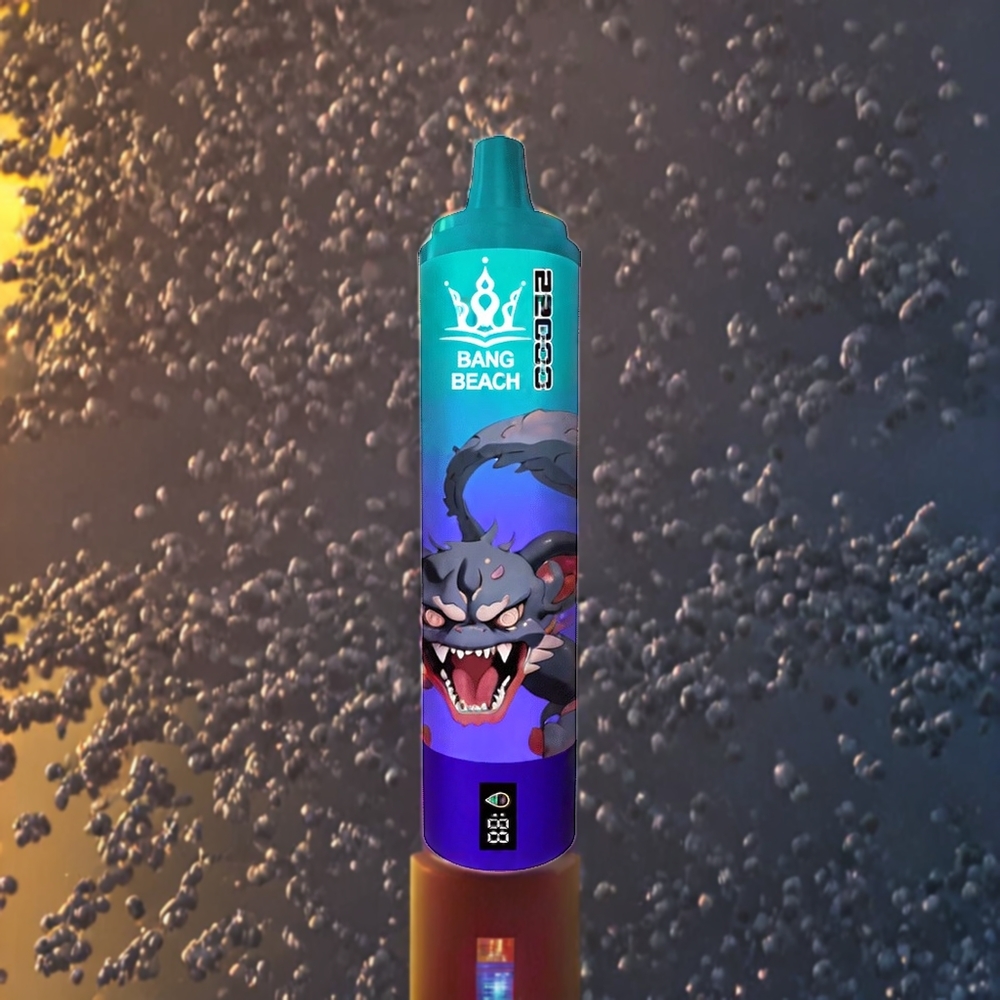 Glace de Raisin Bang Beach 22000 Puffs Belgique Grossiste 36ml 5