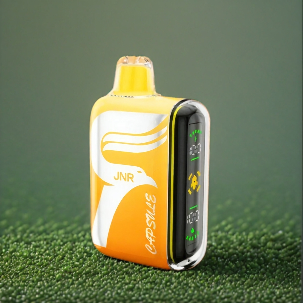 JNR Capsule Belgique Grossiste 15000 Puffs 850mAh Type-C Pastèque Litchi