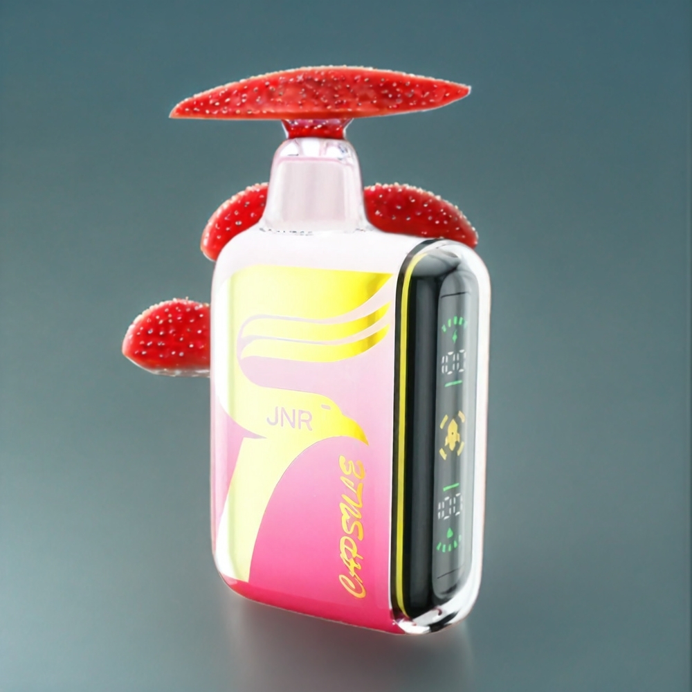 JNR Capsule Belgique Grossiste 15000 Puffs 850mAh Type-C Smart LED Fraise Pastèque Glacée