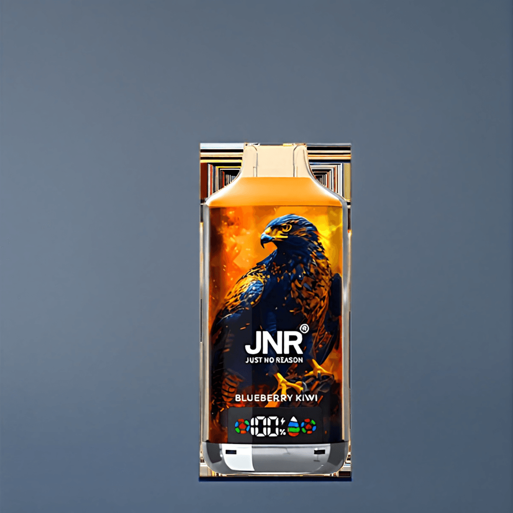 JNR Falcon X 18000 Puffs Belgique Grossiste 750mAh Type-C Kiwi Myrtille