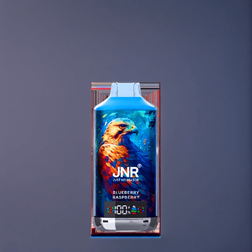 JNR Falcon X 18000 Puffs Belgique Grossiste 750mAh Type-C Quick Charge Myrtille Framboise