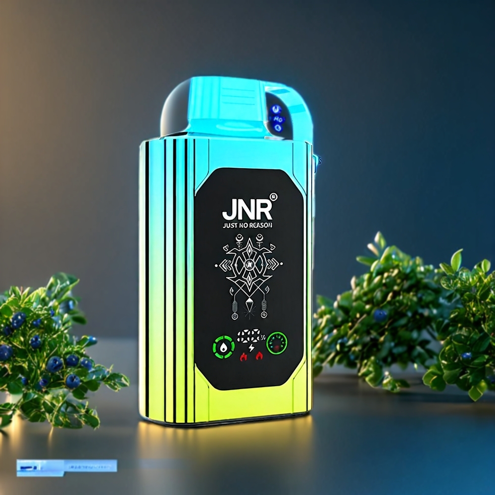 JNR Shisha Box 20500 Puffs Vape Myrtille Menthe Belgique Grossiste - 20500 Puffs  Double Mesh Coil