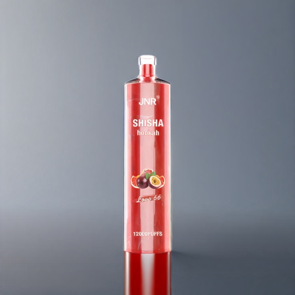 JNR Shisha Hookah 12000 Puffs Belgique Grossiste 750mAh 24ml Love 66