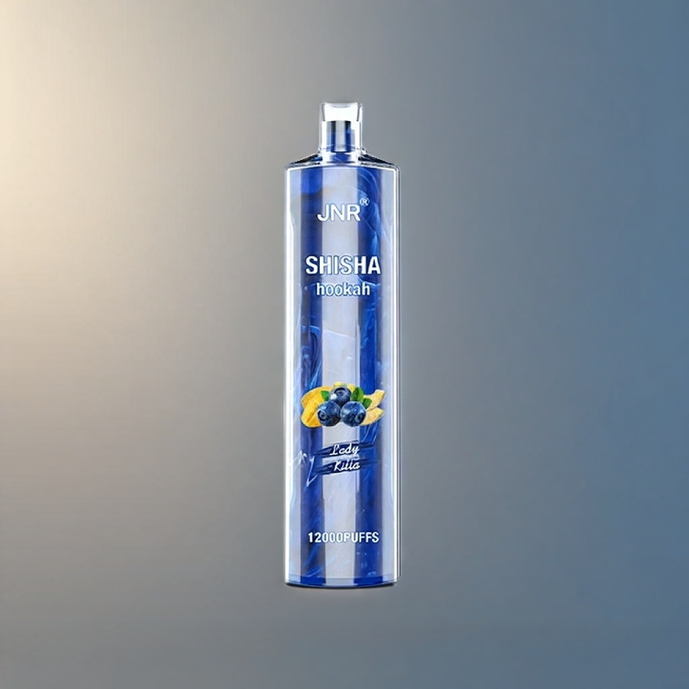 JNR Shisha Hookah 12000 Puffs Vape Lady Killa Belgique Grossiste 24ml 06 Ohm Mesh Coil