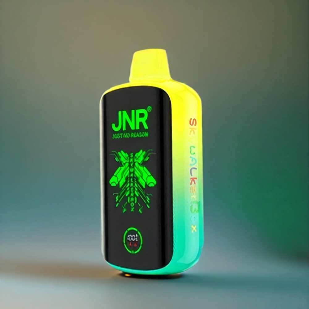 JNR Skywalker Box 21000 Puffs Belgique Grossiste 850mAh Type-C Blueberry Pastèque