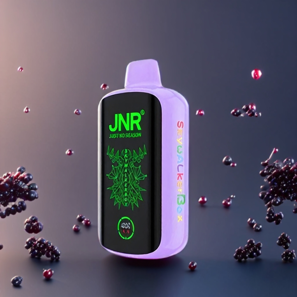 JNR Skywalker Box Belgique Grossiste 21000 Puffs 850mAh Type-C Éclat de Baies