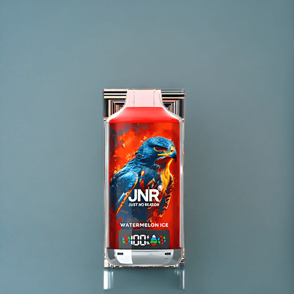Jnr Falcon X 18000 Puffs Belgique Grossiste 24ml Double Mesh Pastèque Glacée