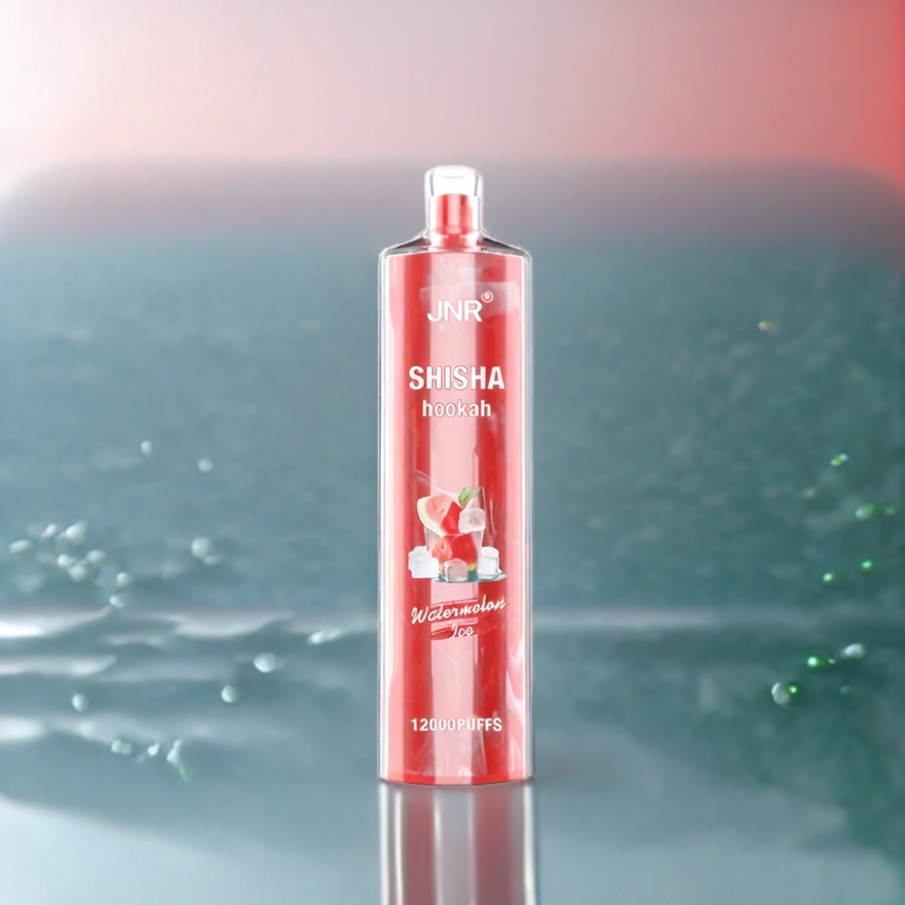 Jnr Shisha Hookah Belgique Grossiste 12000 Puffs 750mAh Glace Pastèque