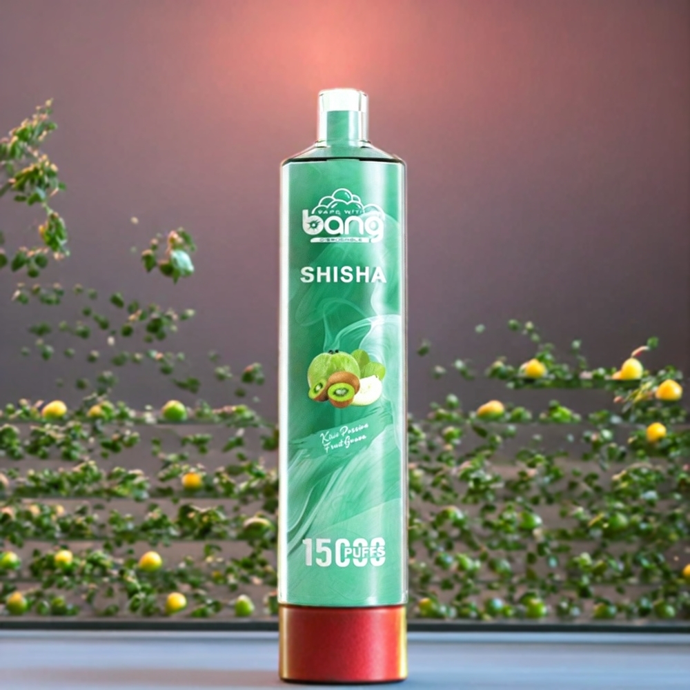 Kiwi Fruit de la Passion Goyave Bang Shisha 15000 Puffs 23ml Belgique Grossiste Type-C Charging Port