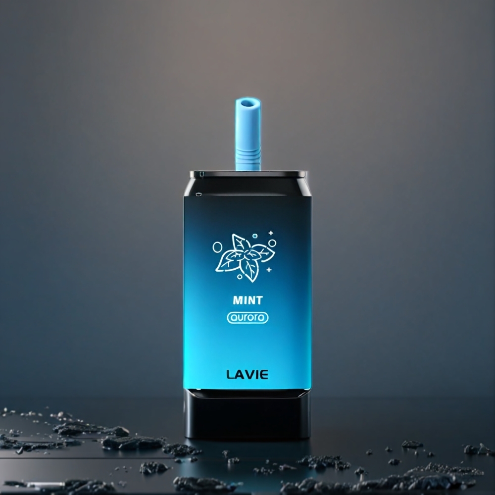 LAVIE Aurora 11000 Puffs Belgique Grossiste Menthe 22ML Type C Rechargeable
