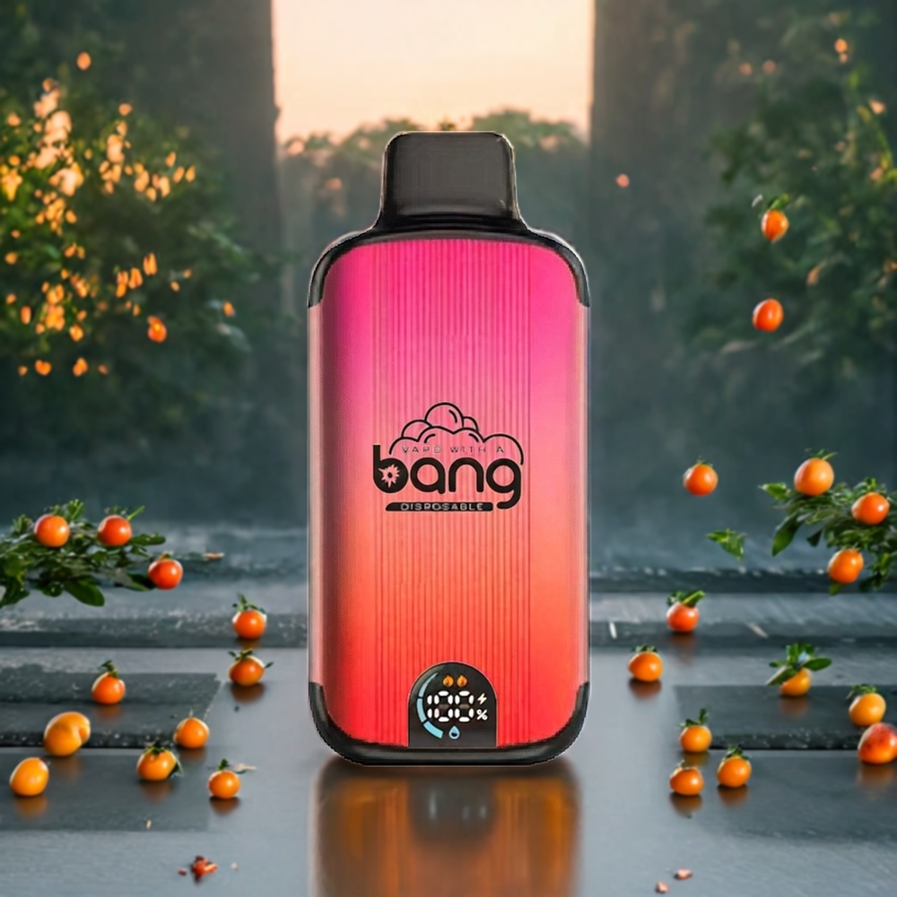 Mangue Pêche Pastèque Bang 20000 Puffs Belgique Grossiste Batterie 13400 et Écran Intelligent