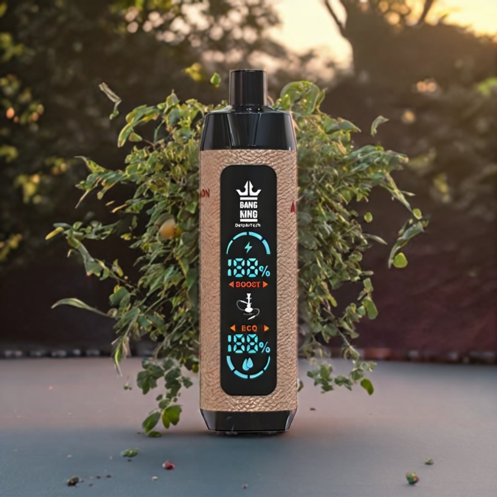 Menthe Citron Bang King Shisha 25000 Puffs 30ml Belgique Grossiste