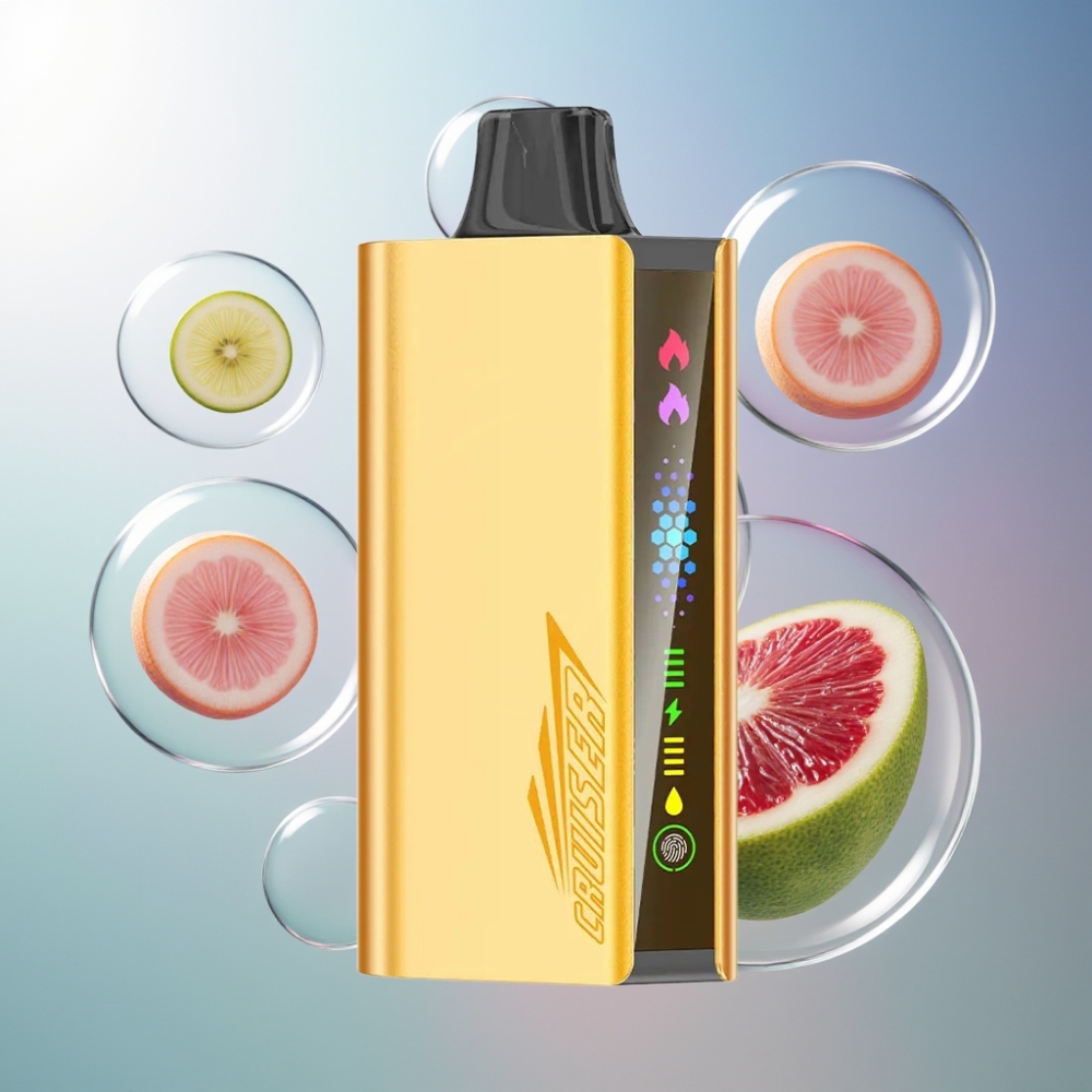 Menthe Fraîche JNR Cruiser 12000 Puffs Belgique Grossiste 25ml E-liquide  3500 mAh Batterie