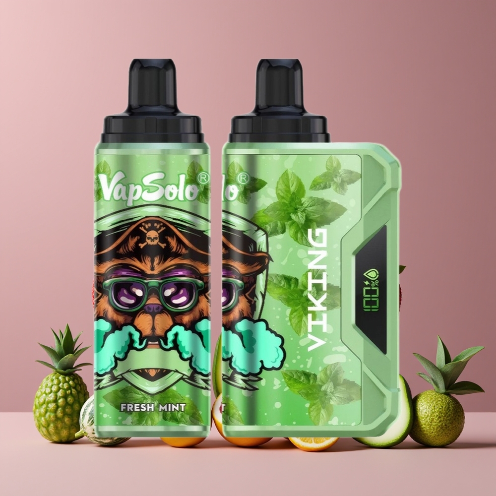 Menthe Fraîche VapSolo VIKING 12000 Puffs 22ml Belgique Grossiste Type-C LED