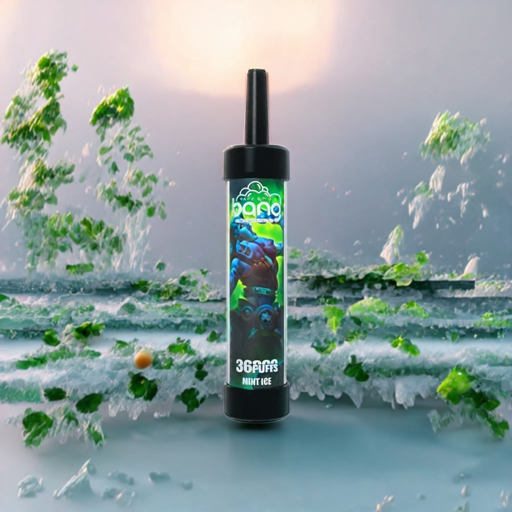 Menthe Glacée Bang 36000 Puffs 40ml Belgique Grossiste 650mAh 5